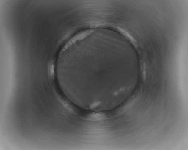 X0000111580067200907301414