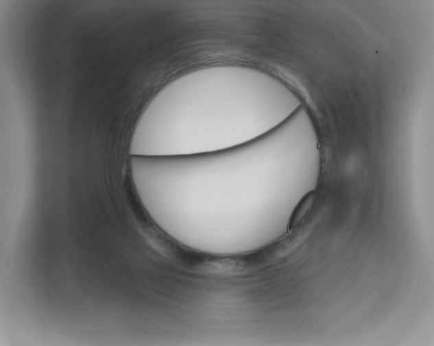 X0000111580069200907301414