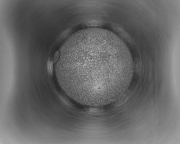 X0000111580070200907301414