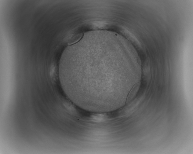 X0000111580079200907301414