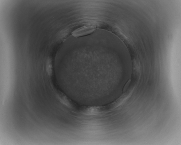 X0000111580080200907301414