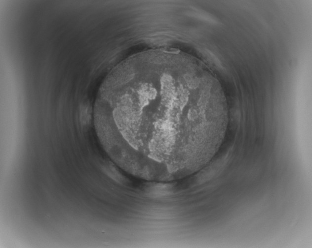 X0000111580081200907301414