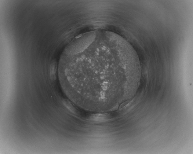 X0000111580082200907301414