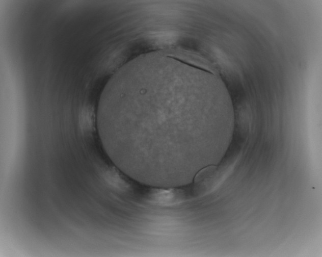 X0000111580083200907301414