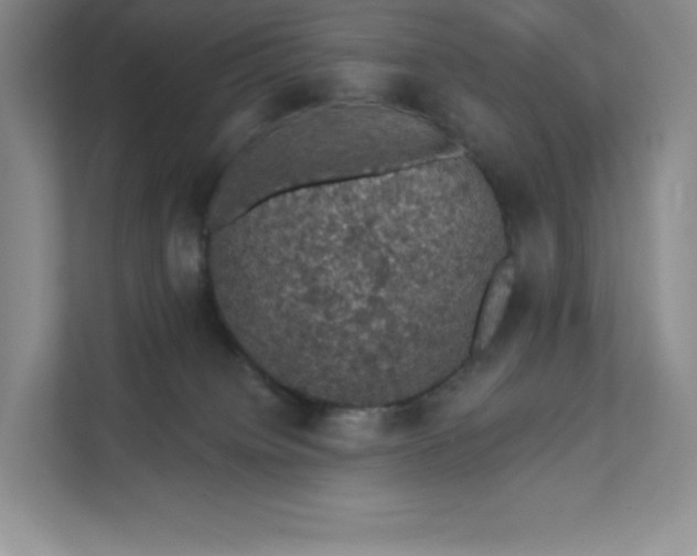 X0000111580084200907301414