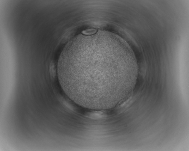 X0000111580086200907301414