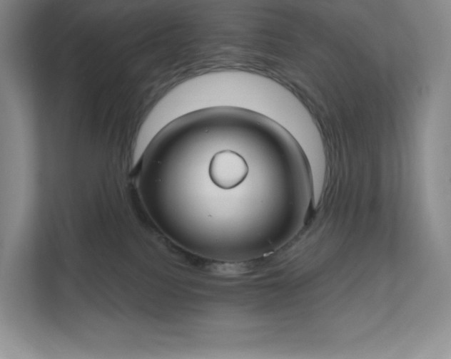 X0000111580088200907301414