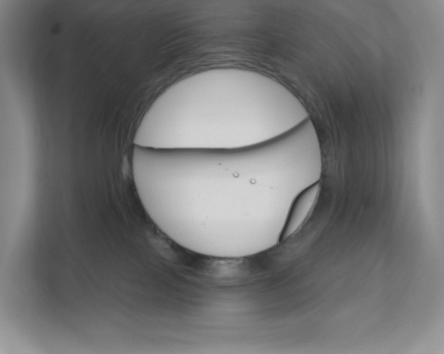 X0000111580089200907301414