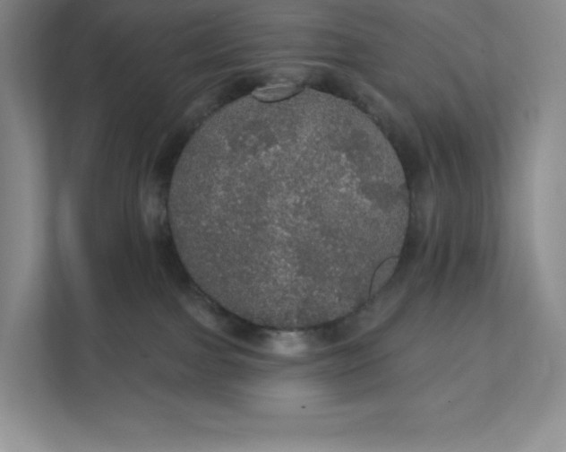 X0000111580091200907301414