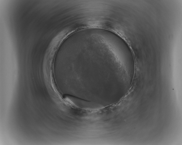 X0000111580097200907301414