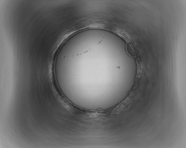 X0000111580098200907301414