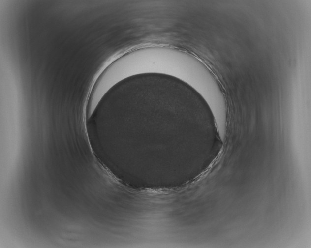 X0000111580100200907301414