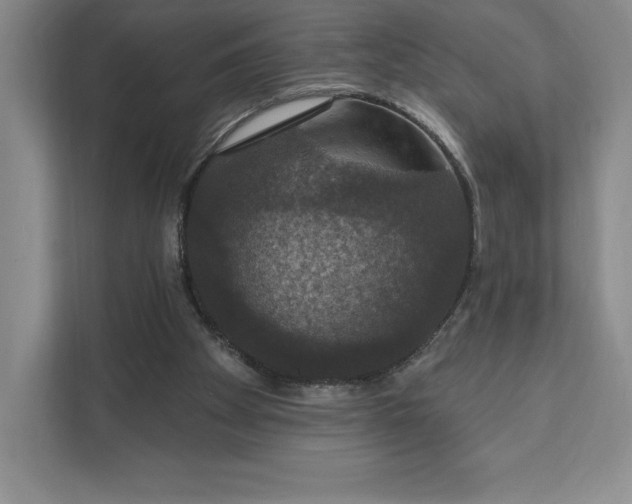 X0000111580105200907301413