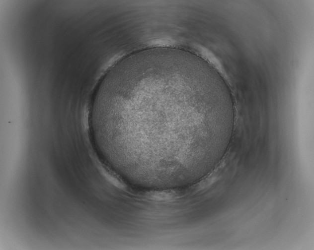 X0000111580106200907301413