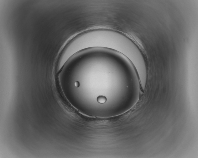 X0000111580108200907301413