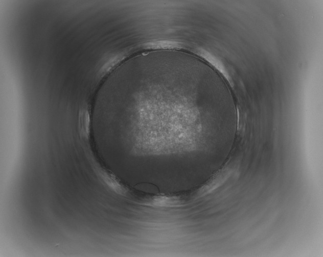 X0000111580109200907301413