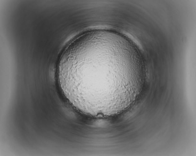 X0000111580111200907301413