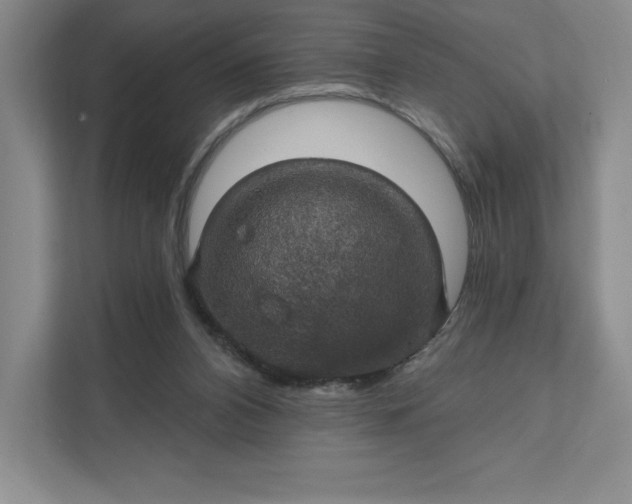 X0000111580112200907301413