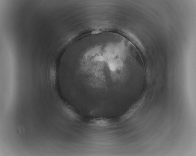 X0000111580113200907301413