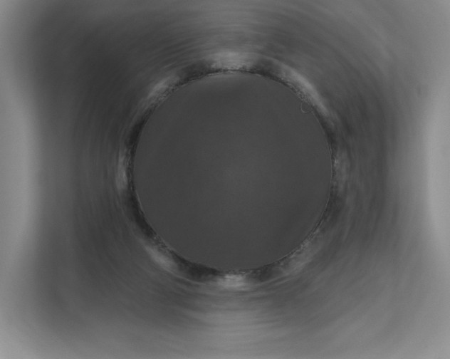 X0000111580114200907301413