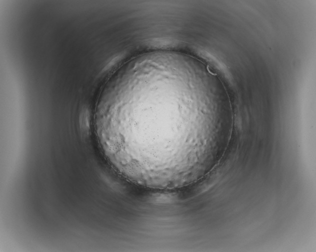 X0000111580115200907301413