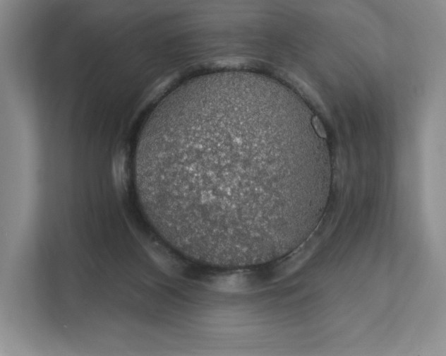 X0000111580116200907301413