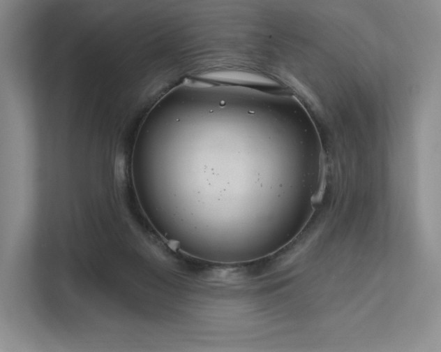 X0000111580117200907301413