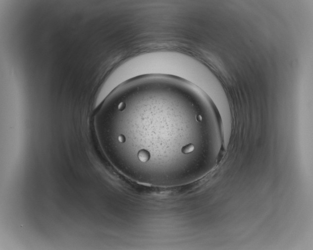 X0000111580120200907301413