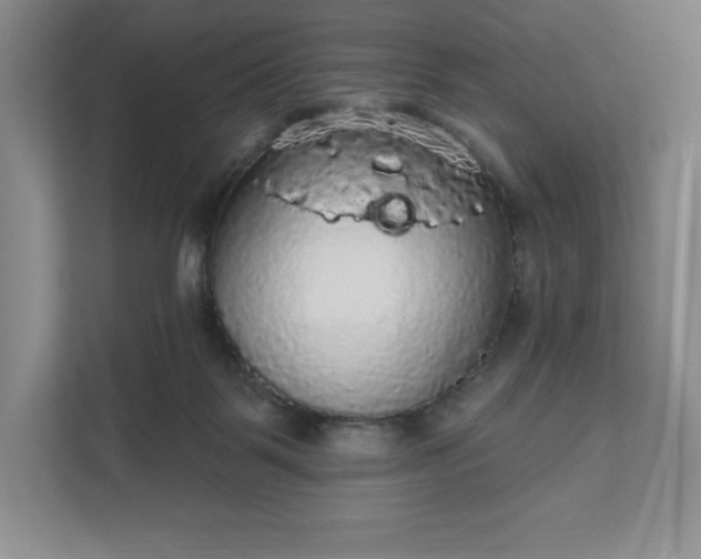 X0000111580123200907301413