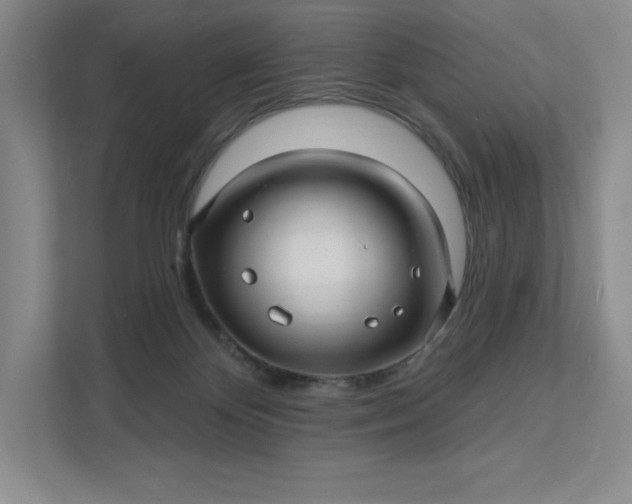 X0000111580124200907301413