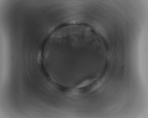 X0000111580127200907301413