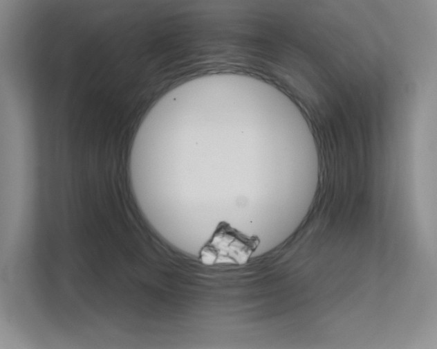 X0000111580129200907301413