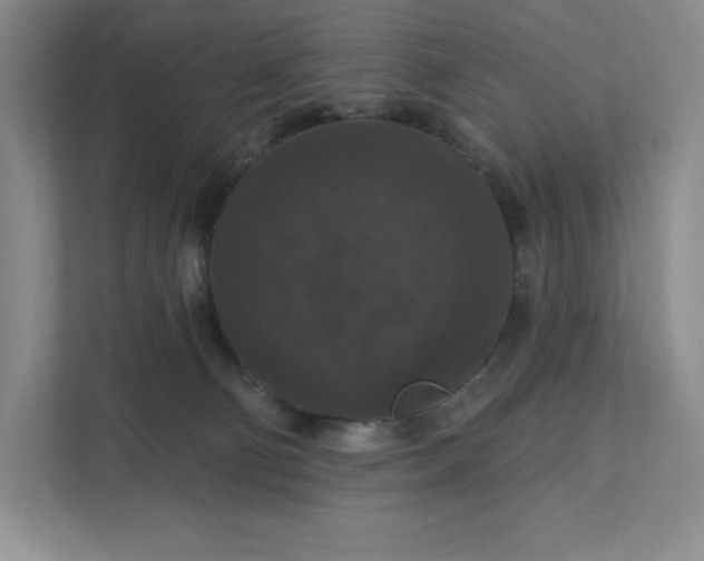 X0000111580130200907301413