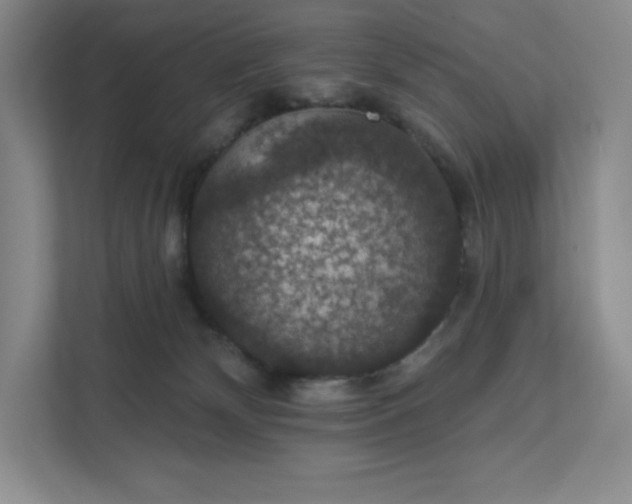 X0000111580132200907301413