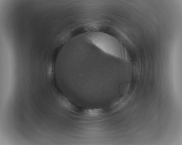 X0000111580134200907301413