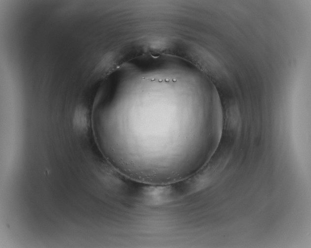 X0000111580135200907301413