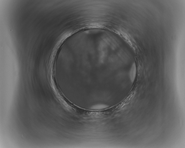 X0000111580145200907301412