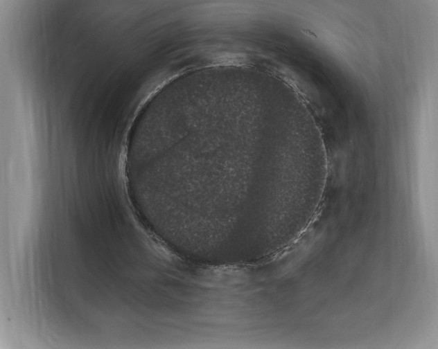 X0000111580146200907301412