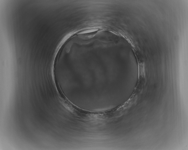 X0000111580147200907301412