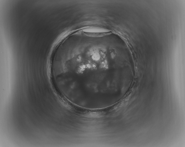 X0000111580149200907301412