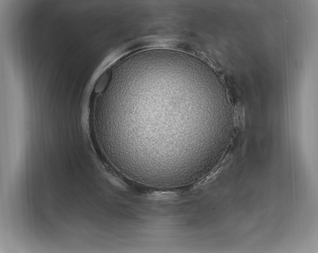 X0000111580150200907301412