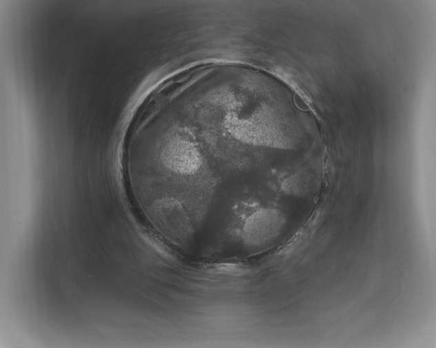 X0000111580151200907301412