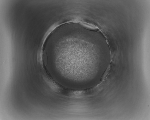 X0000111580152200907301412