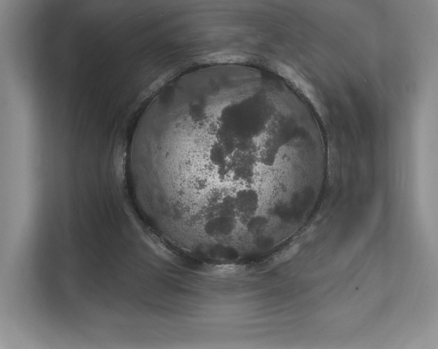 X0000111580153200907301412