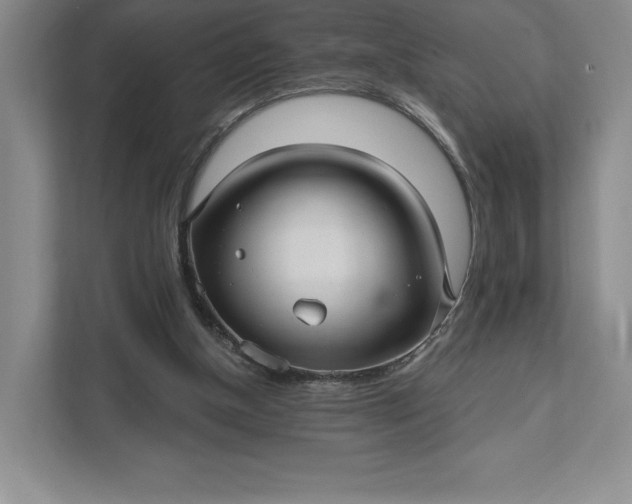 X0000111580154200907301412