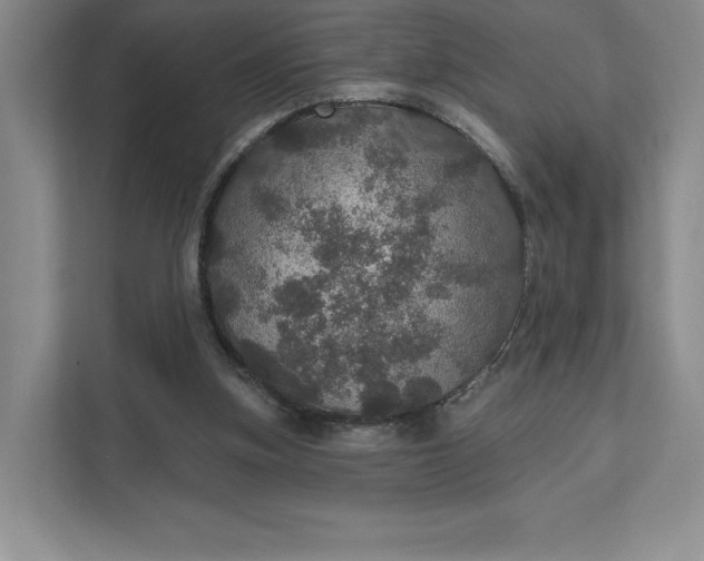 X0000111580155200907301412