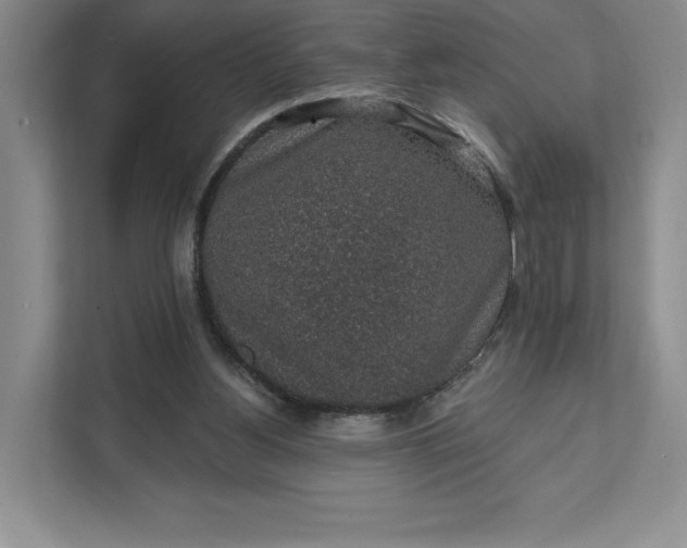 X0000111580156200907301412