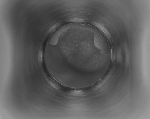 X0000111580157200907301412