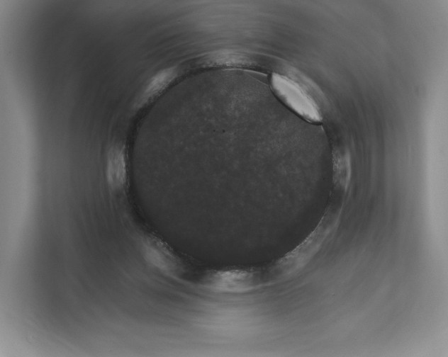 X0000111580158200907301413