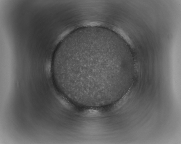 X0000111580159200907301413